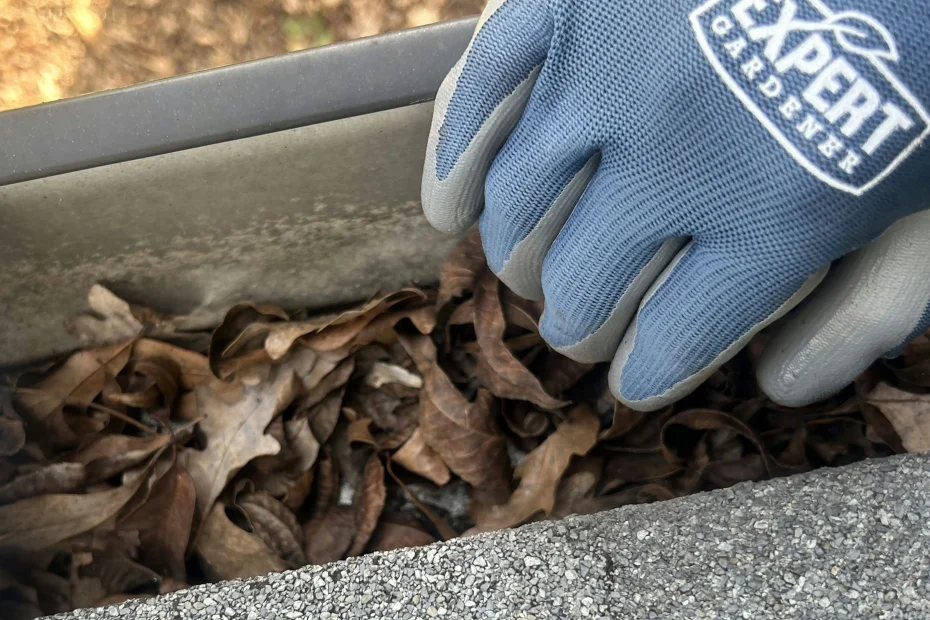 Gutter Cleaning Waldo