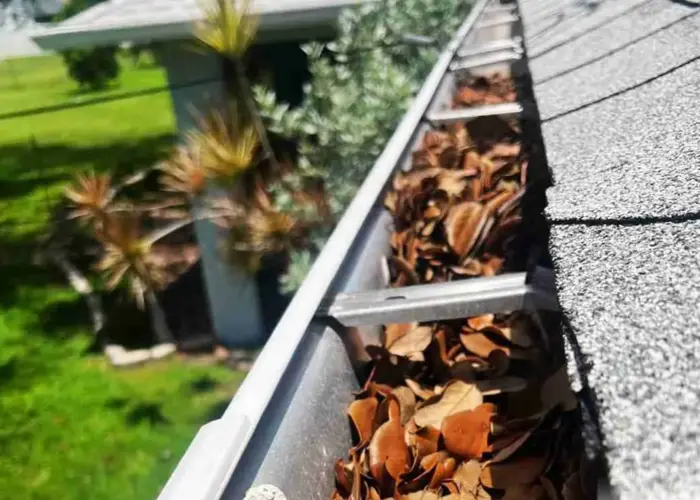 Gutter Cleaning Waldo home page